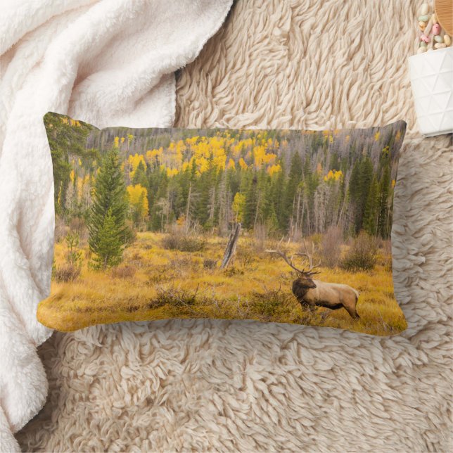 Bull Elk | Rocky Mountain National Park Colorado Lumbar Pillow (Blanket)