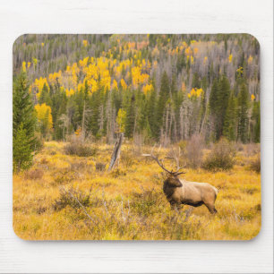 Bull Elk   Rocky Mountain National Park Colorado Mouse Pad