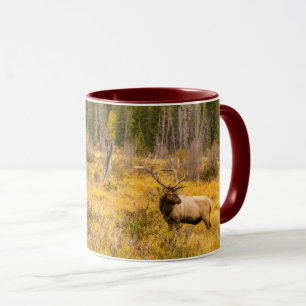 Bull Elk Rocky Mountain National Park Colorado Mug