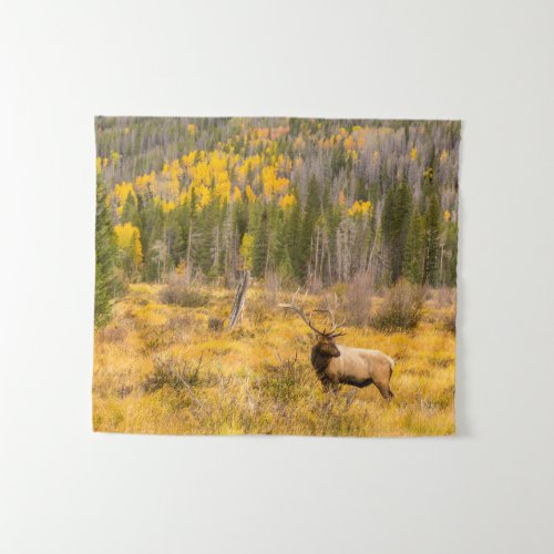 Bull Elk  Rocky Mountain National Park Colorado Tapestry