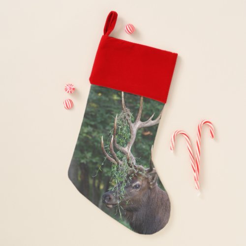 Bull Elk Showing Off For The Cows Christmas Stocking