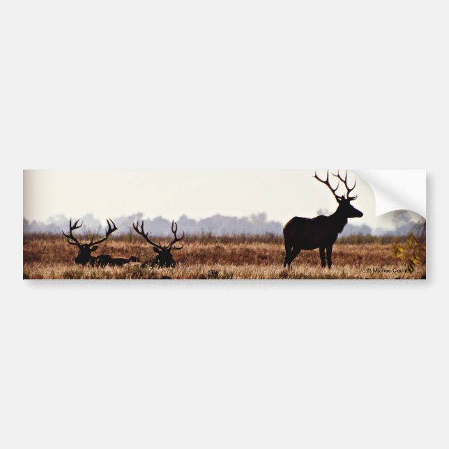 Bull Elk Silhouette Bumper Sticker (Front)
