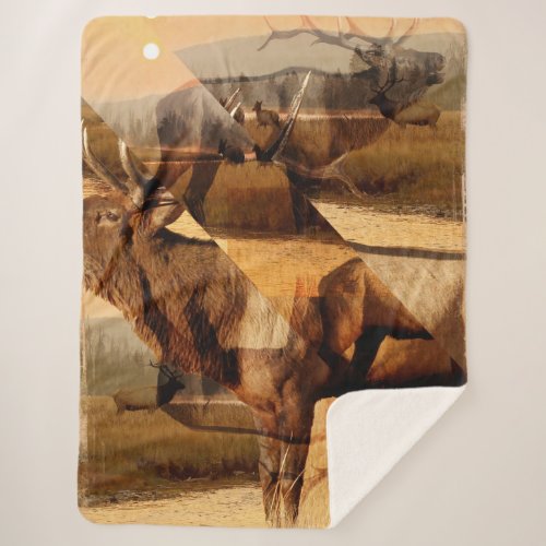 Bull Elk Sunrise Collage Sherpa Blanket