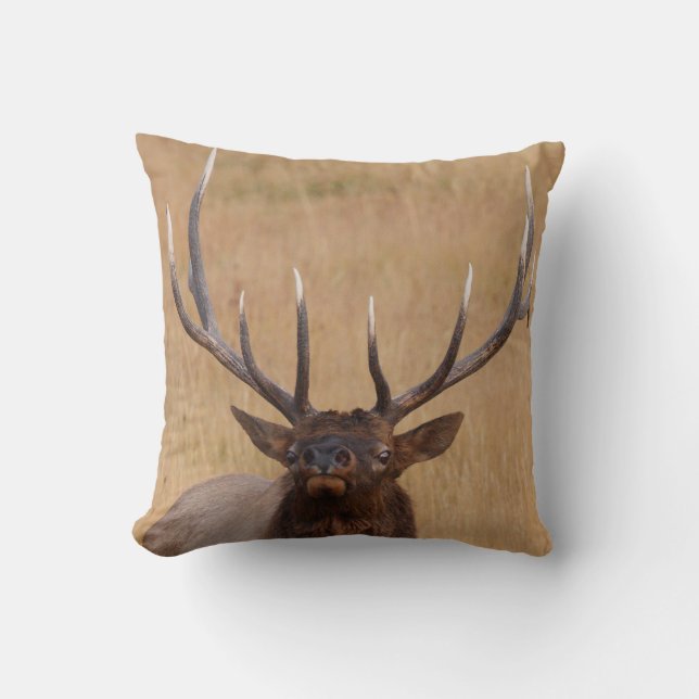 bull elk throw pillow (Front)