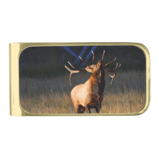 Bull Elk with Head Back Gold Finish Money Clip