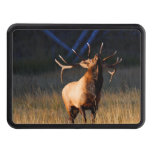 Bull Elk With Head Back Tow Hitch Cover at Zazzle