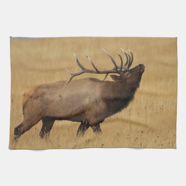 Bull Elk with Head Back Towel (Horizontal)