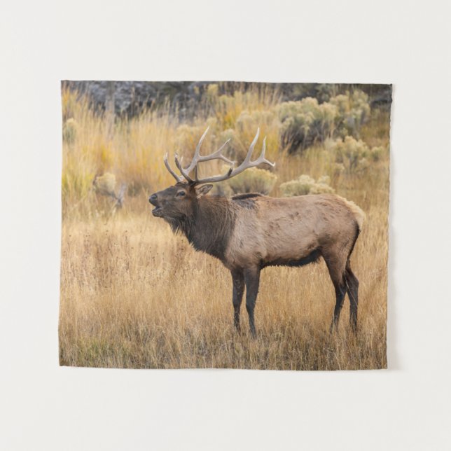 Bull Elk | Yellowstone National Park Tapestry (Front (Horizontal))