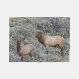 Bull Elk   Yellowstone National Park, Wyoming Fleece Blanket