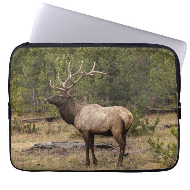 Bull Elk Yellowstone National Park, Wyoming Laptop Sleeve (Front)