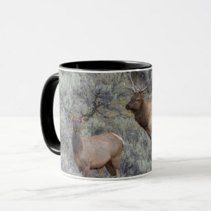 Bull Elk Yellowstone National Park, Wyoming Mug