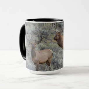 Bull Elk   Yellowstone National Park, Wyoming Mug
