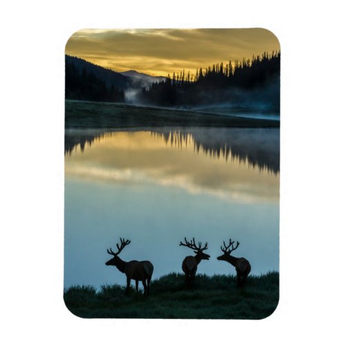 Bull Elks Silhouetted Poudre Lake Sunrise Magnet