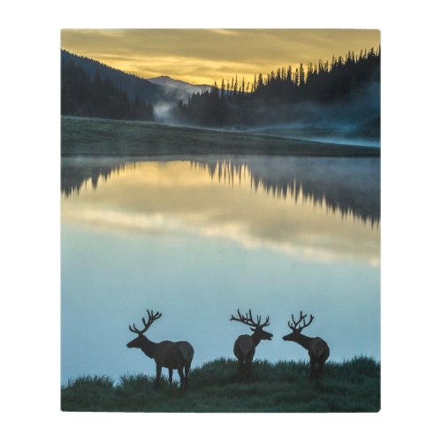 Bull Elks Silhouetted Poudre Lake Sunrise Metal Print