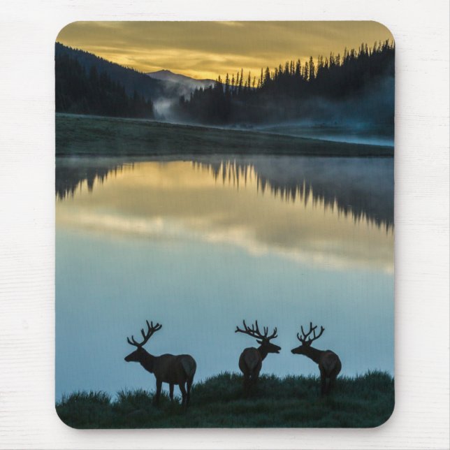 Bull Elks Silhouetted Poudre Lake Sunrise Mouse Pad (Front)