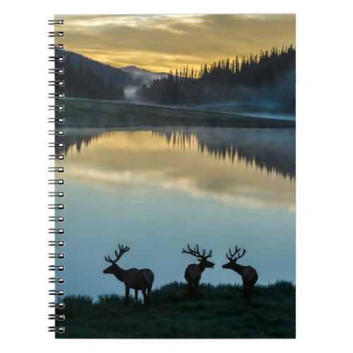 Bull Elks Silhouetted Poudre Lake Sunrise Notebook