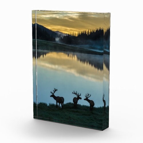 Bull Elks Silhouetted Poudre Lake Sunrise Photo Block
