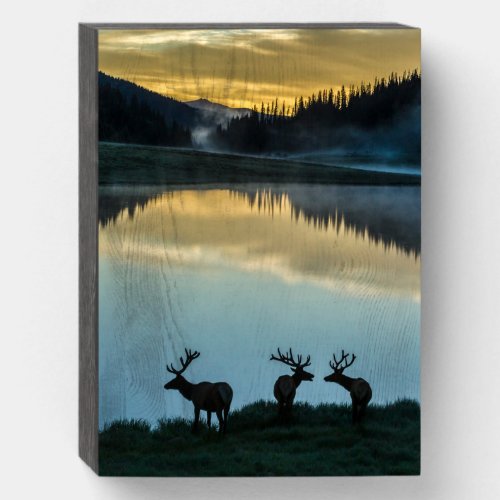 Bull Elks Silhouetted Poudre Lake Sunrise Wooden Box Sign