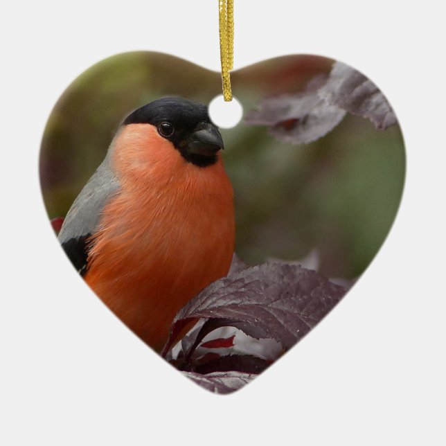 Bull Finch Ceramic Ornament (Front)