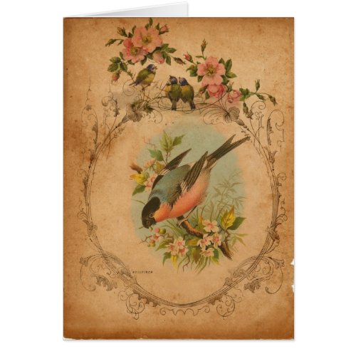 Bull Finch Digital Art All Occasions Greeting Card