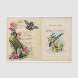 Bull Finch Ephemera Book Pages with Bee & Birds Tissue Paper