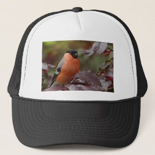 Bull Finch Trucker Hat