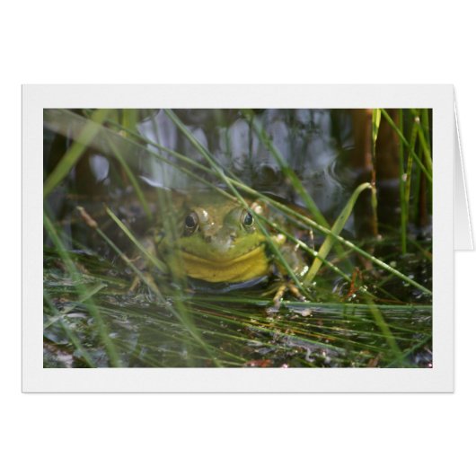 Bull Frog Blank Cards (Front Horizontal)