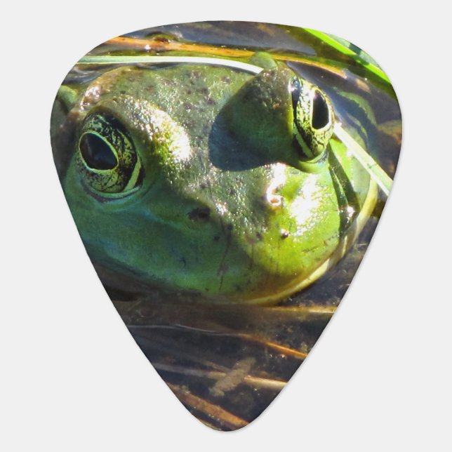 Bull Frog Guitar Pick (Front)
