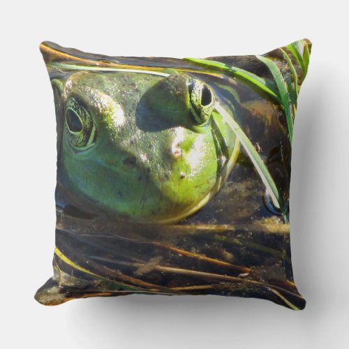 Bull Frog Pillow