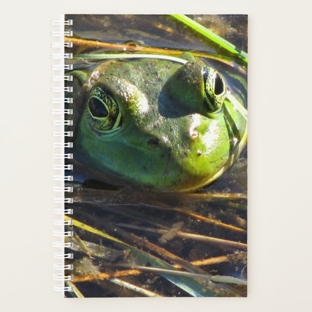 Bull Frog Planner (Front)
