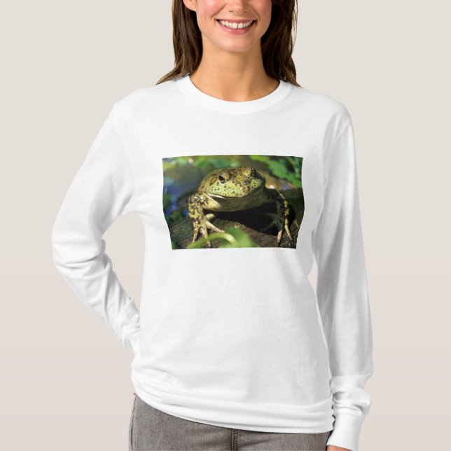Bull frog. T-Shirt (Front)