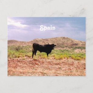 Bull in Spain Postcard