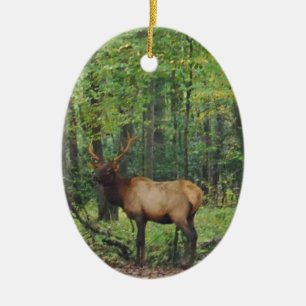 Bull Male Elk in autumn field Ceramic Ornament
