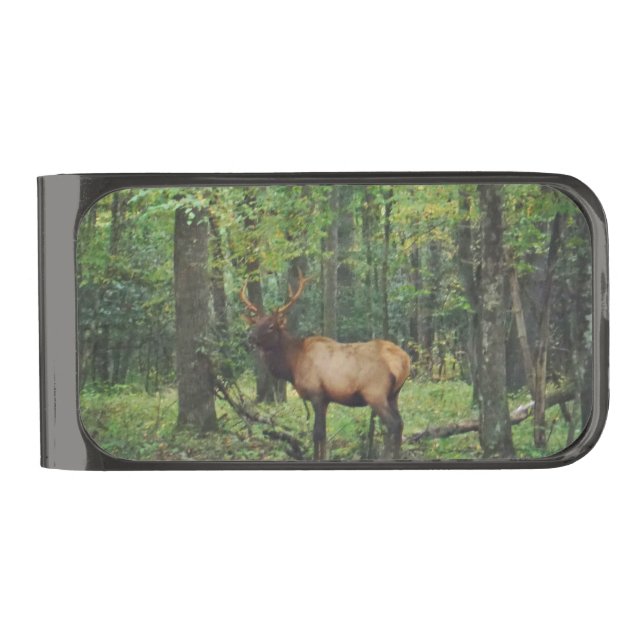 Bull Male Elk in autumn field Gunmetal Finish Money Clip (Front)