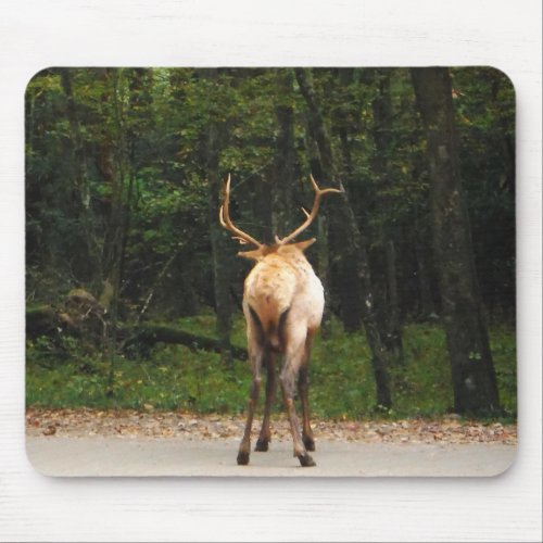 Bull Male Elk in autumn field Mouse Pad