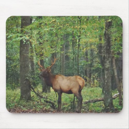 Bull Male Elk in autumn field Mouse Pad