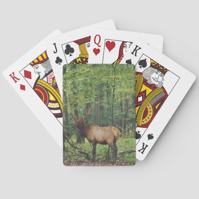 Bull Male Elk in autumn field Poker Cards (Back)