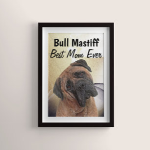 Bull Mastiff Best Mom Poster
