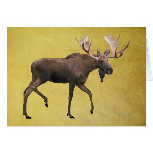 Bull Moose (Front Horizontal)