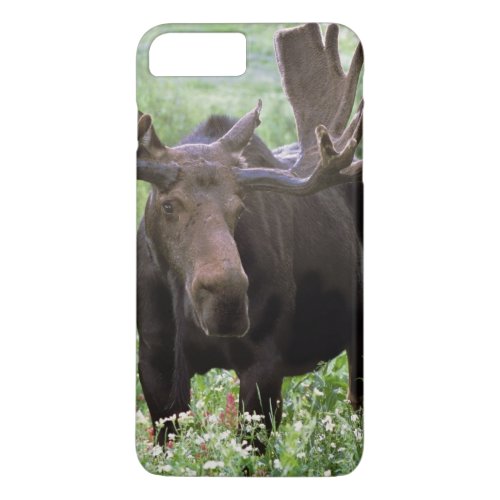 Bull moose Alces alces in wildflowers iPhone 8 Plus7 Plus Case