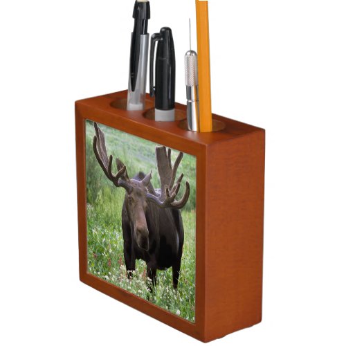 Bull moose Alces alces in wildflowers PencilPen Holder