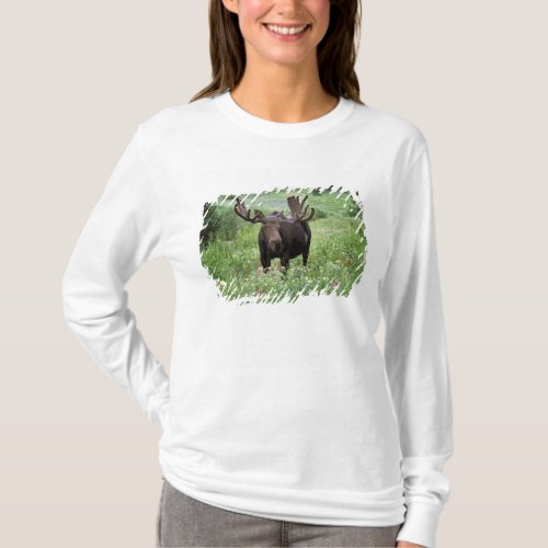 Bull moose Alces alces in wildflowers T_Shirt