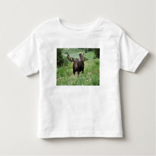 Bull moose Alces alces) in wildflowers, Toddler T-shirt