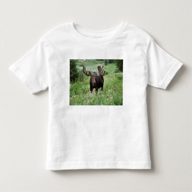 Bull moose Alces alces) in wildflowers, Toddler T-shirt (Front)