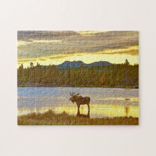 Bull Moose at Sprague Lake Colorado at Sunrise Jigsaw Puzzle