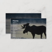 Bull moose business card (Front/Back)