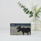Bull moose business card (Standing Front)