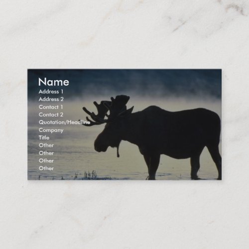 Bull moose business card templates
