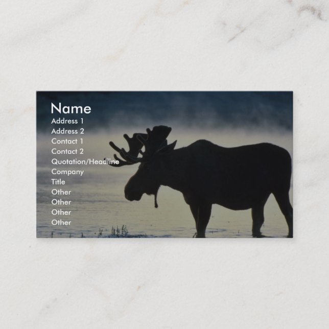 Bull moose business card (Front)