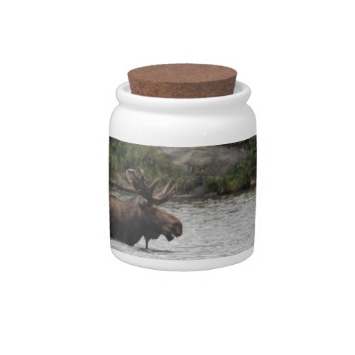 Bull Moose Candy Jar